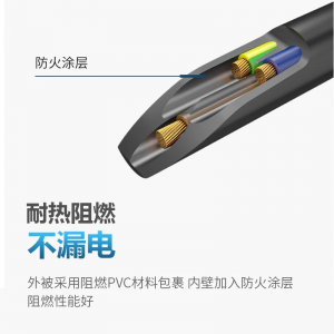 TOWE同为国标16A转C19线2.5平无氧加粗精铜芯电源转换线IDC机房数据中心电源线TW-F-25G16/C19