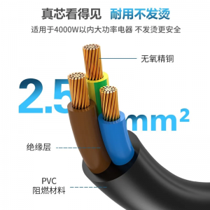 TOWE同为国标16A转C19线2.5平无氧加粗精铜芯电源转换线IDC机房数据中心电源线TW-F-25G16/C19