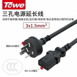 TOWE同为国标直头10A转C13线1.5平电脑电源线服务器电源线TW-F-G10Z/C13
