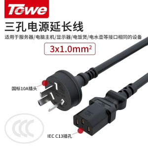 TOWE同为国标直头10A转C13线1.0平电脑电源线服务器电源线TW-F-10G10Z/C13