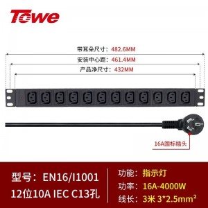 TOWE同为IEC C13 C19工业电源防雷PDU电源机柜插座 国际通用IEC 大功率机柜PDU IEC插孔横装大功率款 12位10A IEC C13插孔，EN16/I1001