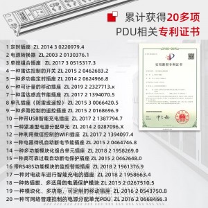 TOWE同为C20输入16A自接线不带线工程安全PDU电源机柜插座 输出国标10A插孔C20输入国标PDU内置C20输入模块8位10A通用，EN16C/W802