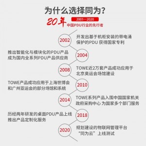 TOWE同为C20输入16A自接线不带线工程安全PDU电源机柜插座 输出国标10A插孔C20输入国标PDU内置C20输入模块8位10A通用，EN16C/W802